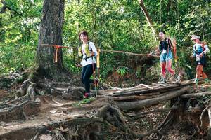 BIB: 
                            <button type="button" onclick="openModal(27557446)" class="btn btn-primary btn-sm float-right btn-popup" data-toggle="modal" data-target=".modal-high-quality">
                        <i class="fas fa-shopping-cart"></i> Add to Cart
                    </button>
                                            <button type="button" onclick="isThisMe(27557446, true)" class="btn btn-success btn-sm float-right btn-popup btn-isme hidden" data-toggle="tooltip" data-placement="bottom" title="นี่คือรูปของคุณใช่ไหม คลิกที่นี่เพื่อเอาเข้าอัลบั้ม">
                        <i class="fas fa-plus"></i> Add to album
                    </button>
                    <button type="button" onclick="isThisMe(27557446, false)" class="btn btn-warning btn-sm float-right btn-popup btn-isnotme hidden">
                        <i class="fas fa-ban"></i> Remove from album
                    </button>